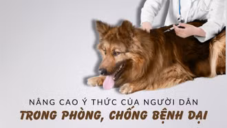 Nâng cao ý thức của người dân trong phòng, chống bệnh dại