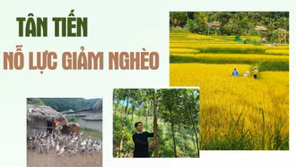 Tân Tiến nỗ lực giảm nghèo