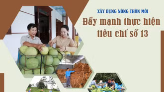 Đẩy mạnh thực hiện tiêu chí số 13