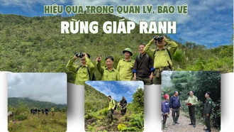 Hiệu quả trong quản lý, bảo vệ rừng giáp ranh