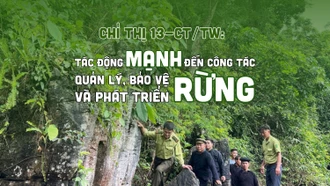 Chỉ thị 13-CT/TW: Tác động mạnh đến công tác quản lý, bảo vệ và phát triển rừng