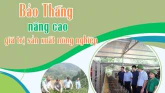 Bảo Thắng nâng cao giá trị sản xuất nông nghiệp