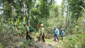 Túc trực 24/24 giờ bảo vệ rừng trong dịp nghỉ lễ