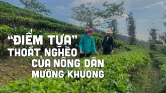 “Điểm tựa” thoát nghèo của nông dân Mường Khương