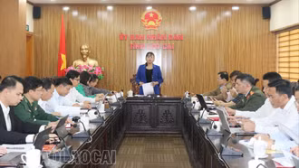 Hội nghị triển khai công tác phòng, chống tảo hôn và hôn nhân cận huyết thống năm 2024