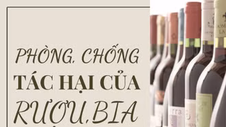 Phòng, chống tác hại của rượu, bia