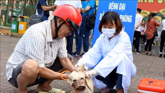 Truyền thông lưu động nâng cao nhận thức về phòng, chống bệnh dại