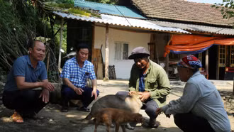Bảo Thắng tăng cường các biện pháp phòng, chống bệnh dại