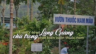 Chú trọng phát triển vườn thuốc nam