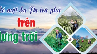 Có một Sa Pa trù phú trên lưng trời