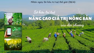 Sở hữu trí tuệ nâng cao giá trị nông sản của địa phương
