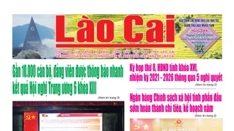 Báo vùng cao 784