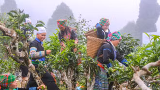 Văn Chấn khai thác tiềm năng phát triển du lịch