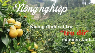 Nông nghiệp khẳng định vai trò “trụ đỡ” của nền kinh tế