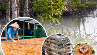 Festival Tôm Cà Mau 2023 - Tự hào thương hiệu Việt