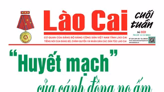 Báo Lào Cai Cuối tuần số 959 ra ngày 11/11/2023