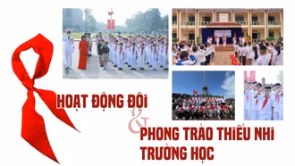 Hoạt động đội và phong trào thiếu nhi trường học