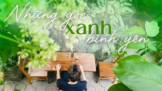 Những góc xanh bình yên