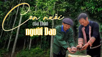 Con nuôi của thôn người Dao