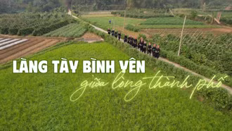 Làng Tày bình yên giữa lòng thành phố