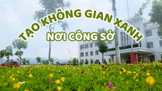 Tạo không gian xanh nơi công sở