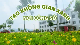 Tạo không gian xanh nơi công sở