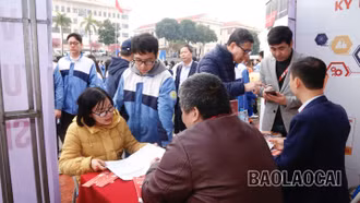 Hơn 3.000 học sinh Lào Cai và Lai Châu tham gia Ngày hội Tư vấn hướng nghiệp, phân luồng năm 2024