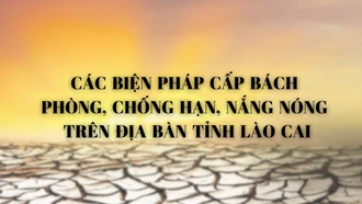 Các biện pháp cấp bách phòng, chống hạn, nắng nóng trên địa bàn tỉnh Lào Cai 