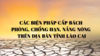 Các biện pháp cấp bách phòng, chống hạn, nắng nóng trên địa bàn tỉnh Lào Cai 