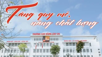 Tăng quy mô, nâng chất lượng