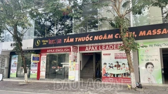 Lào Cai: Đình chỉ hoạt động có thời hạn Trung tâm Ngoại ngữ Apax English