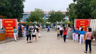 Hơn 800 học sinh tham gia đánh giá năng lực vào Trường THCS Lê Quý Đôn và Trường THCS Lý Tự Trọng, năm học 2023 - 2024