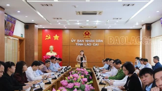 Tăng cường thực hiện chính sách bảo hiểm xã hội và nâng cao chất lượng dân số