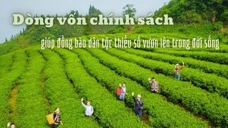 Dòng vốn chính sách giúp đồng bào dân tộc thiểu số vươn lên trong đời sống