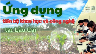 Ứng dụng tiến bộ khoa học và công nghệ tại Lào Cai