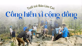 Tuổi trẻ Báo Lào Cai cống hiến vì cộng đồng