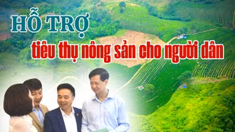 Hỗ trợ quảng bá, tiêu thụ nông sản cho nông dân