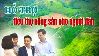 Hỗ trợ quảng bá, tiêu thụ nông sản cho nông dân