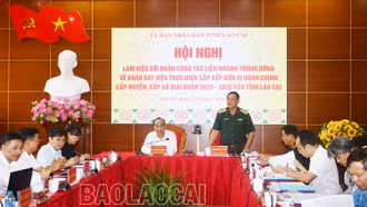 UBND tỉnh làm việc với đoàn công tác liên ngành Trung ương về sắp xếp đơn vị hành chính giai đoạn 2023 - 2025