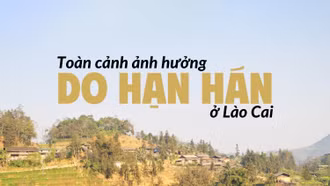 Toàn cảnh ảnh hưởng do hạn hán ở Lào Cai