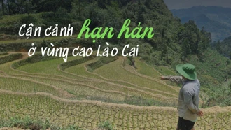 Cận cảnh hạn hán ở vùng cao Lào Cai