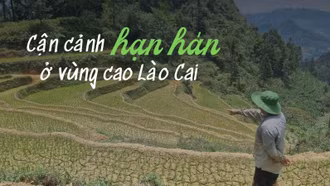 Cận cảnh hạn hán ở vùng cao Lào Cai