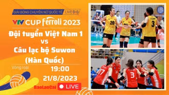 Trực tiếp: Việt Nam 1 gặp Câu lạc bộ Suwon (Hàn Quốc)