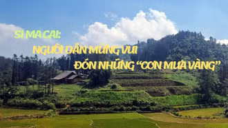Si Ma Cai: Người dân mừng vui đón những “cơn mưa vàng”