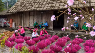 Đặc sắc nghề làm hương tết của người Giáy xã Hợp Thành