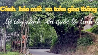 Cảnh báo mất an toàn giao thông từ cây xanh ven quốc lộ, tỉnh lộ