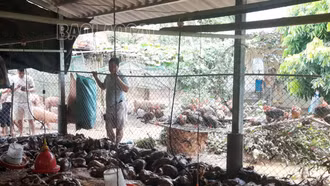 Xuân Quang (Bảo Thắng): Mưa lũ gây nhiều thiệt hại 