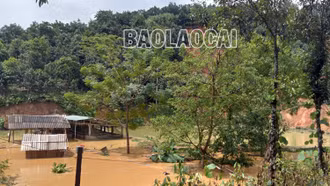 Bảo Thắng: Mưa lũ gây thiệt hại trên 5,1 tỷ đồng