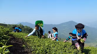 Hỗ trợ phụ nữ dân tộc thiểu số ứng dụng công nghệ 4.0