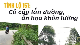 Tỉnh lộ 151: Cỏ cây lấn đường, ẩn họa khôn lường